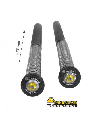 01-622-5866-0 Touratech Suspension Touratech Suspension lowering Cartridge Kit -25mm for Ducati DesertX from 2021