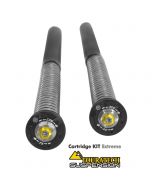 Touratech Suspension Cartridge Kit Extreme für Triumph Tiger Explorer ab 2012