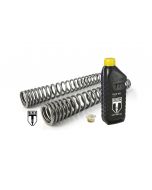 01-042-5838-0 BLACK-T fork springs Stage1 progressive for BMW RnineT from 2014 onwards