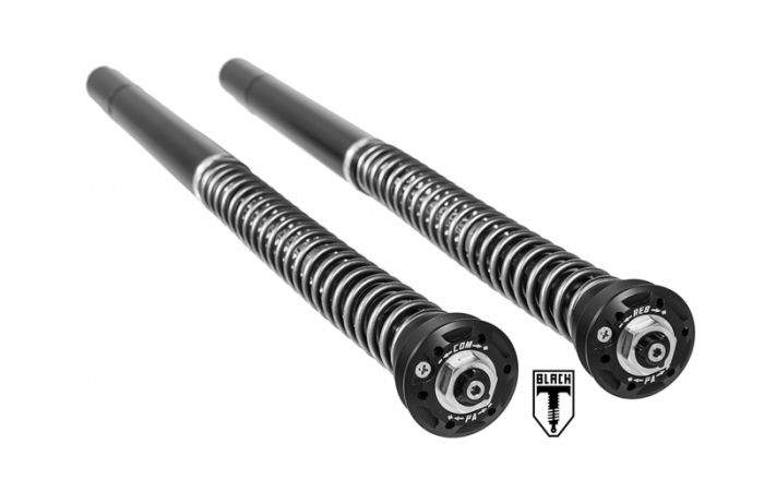 01-042-5840-0 BLACK-T Cartridge Kit Stage4 for BMW RnineT from 2014 onwards