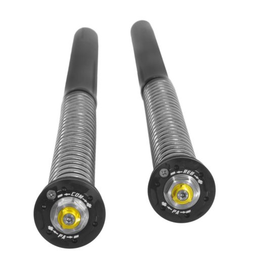 01-083-5861-0 Touratech Suspension Cartridge Kit Extreme fuer BMW F900GS (2024-)