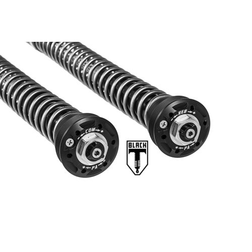 01-621-5870-0 BLACK-T Cartridge Kit Touring für Ducati Scrambler Desert Sled (2017-)