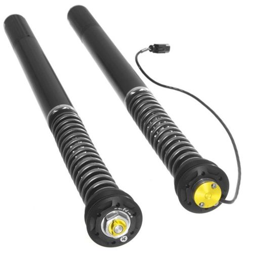 01-058-5891-0 Touratech Suspension Cartridge Plug&Travel fuer BMW R1250RS (2018-)